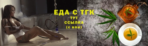 мдпв Елабуга