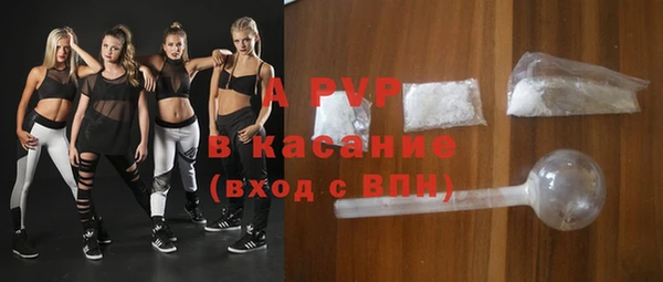мдпв Елабуга