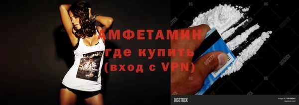 крисы Ельня