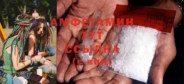 крисы Ельня