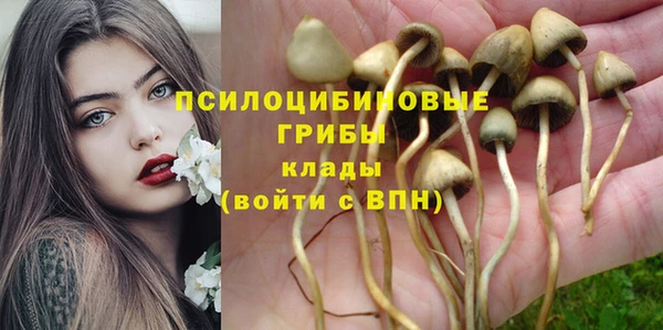 герыч Елизово