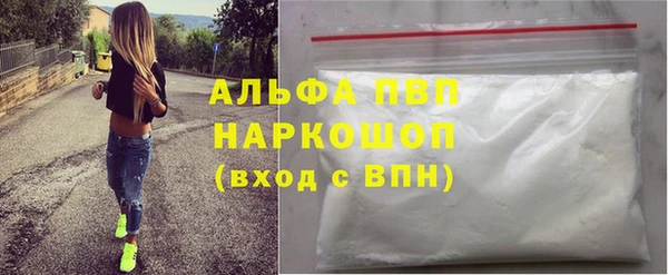 мдпв Елабуга