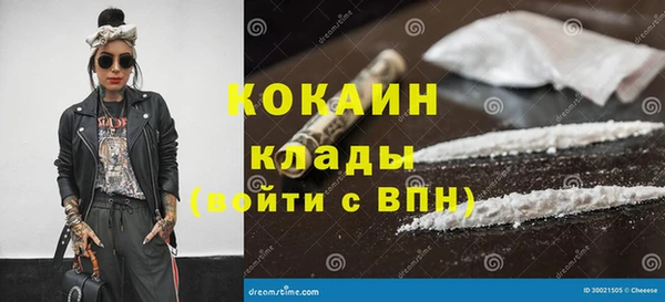 мдпв Елабуга